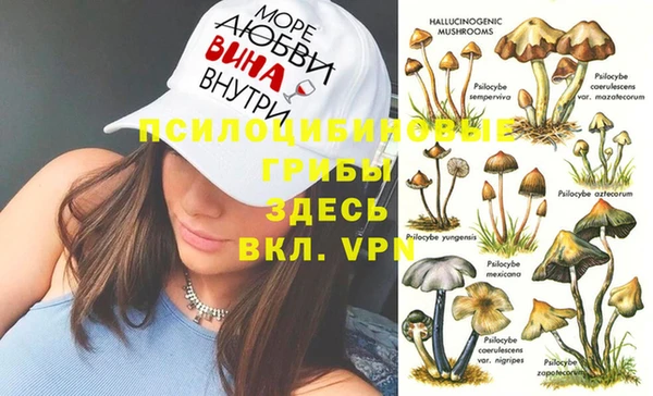 сатива Вяземский