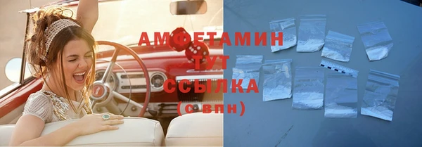 сатива Вяземский