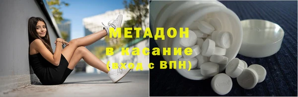 сатива Вяземский