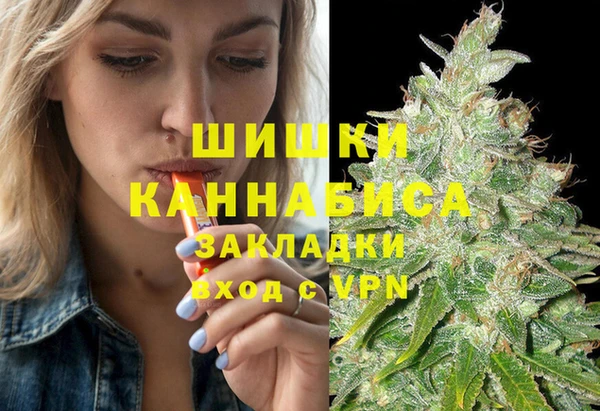 сатива Вяземский