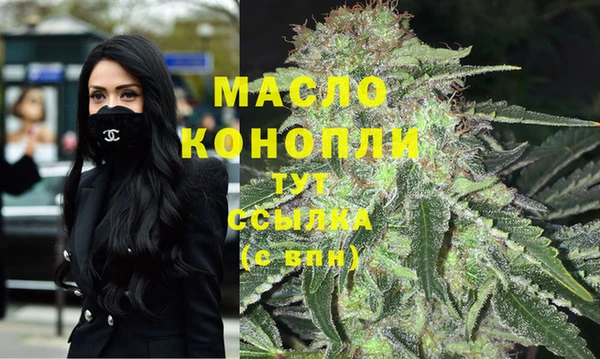 сатива Вяземский