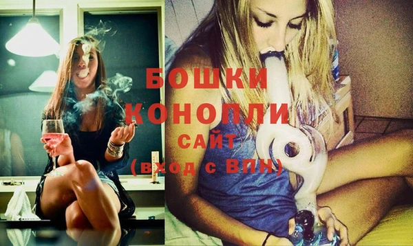 сатива Вяземский