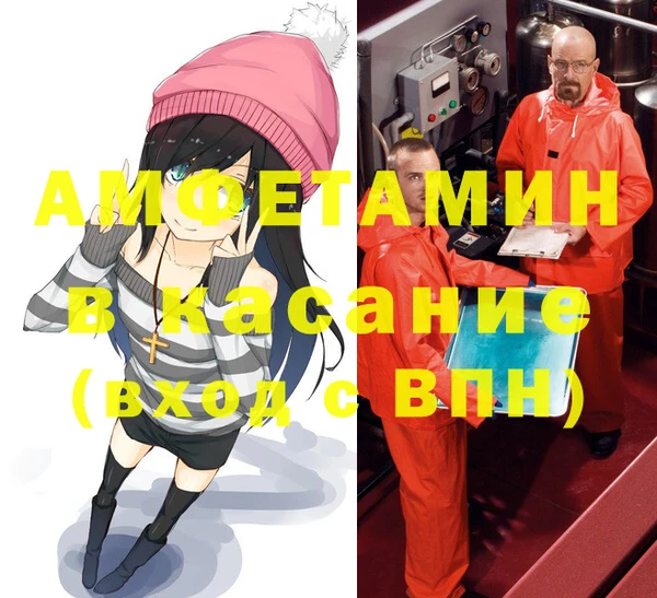 сатива Вяземский